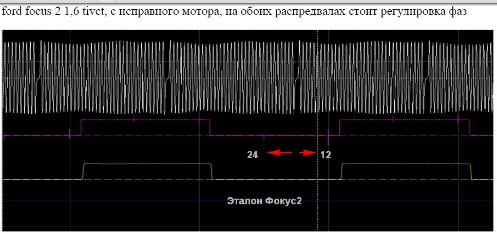 Эталон Фокус2.jpg